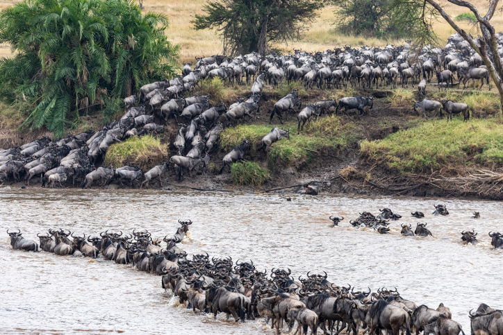טיול דרך עדשת המצלמה לטנזניה המרהיבה