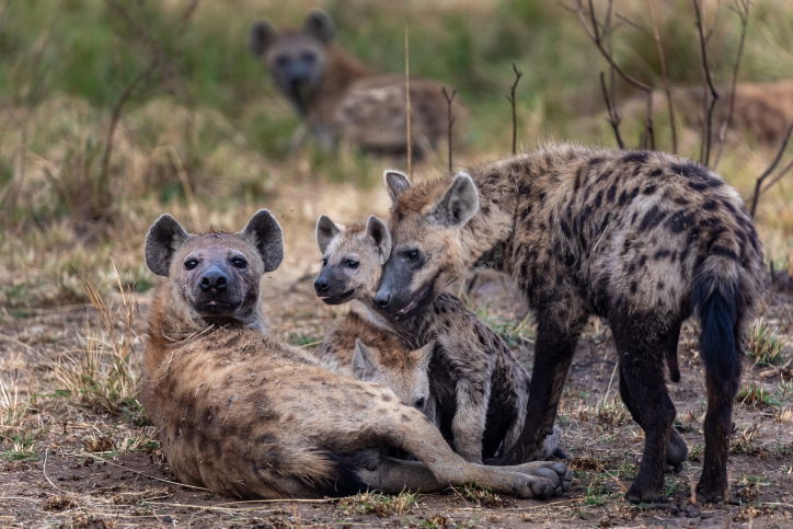 טיול דרך עדשת המצלמה לטנזניה המרהיבה