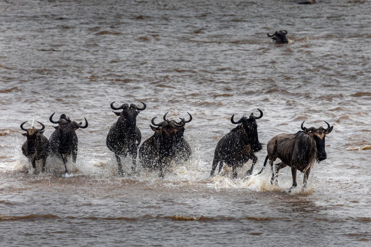 טיול דרך עדשת המצלמה לטנזניה המרהיבה