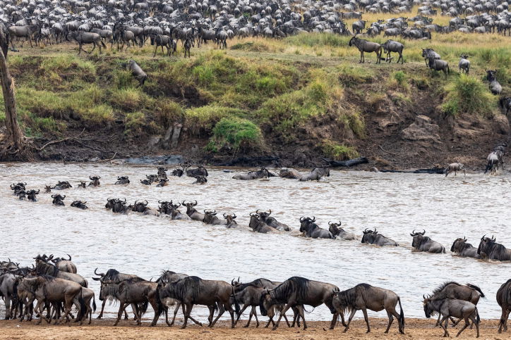 טיול דרך עדשת המצלמה לטנזניה המרהיבה