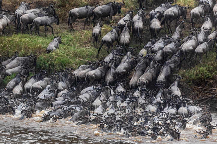 טיול דרך עדשת המצלמה לטנזניה המרהיבה