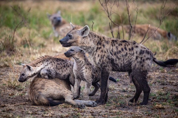 טיול דרך עדשת המצלמה לטנזניה המרהיבה