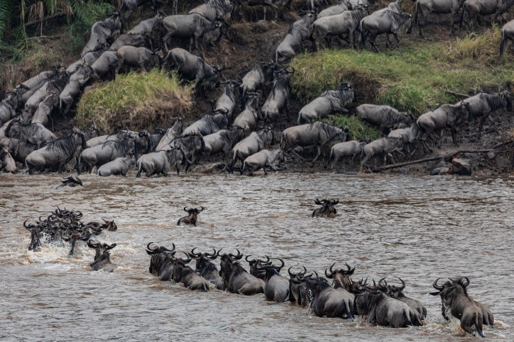 טיול דרך עדשת המצלמה לטנזניה המרהיבה