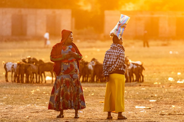 טיול דרך עדשת המצלמה לטנזניה המרהיבה