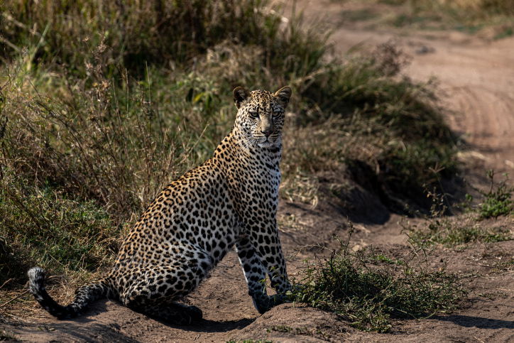 טיול דרך עדשת המצלמה לטנזניה המרהיבה