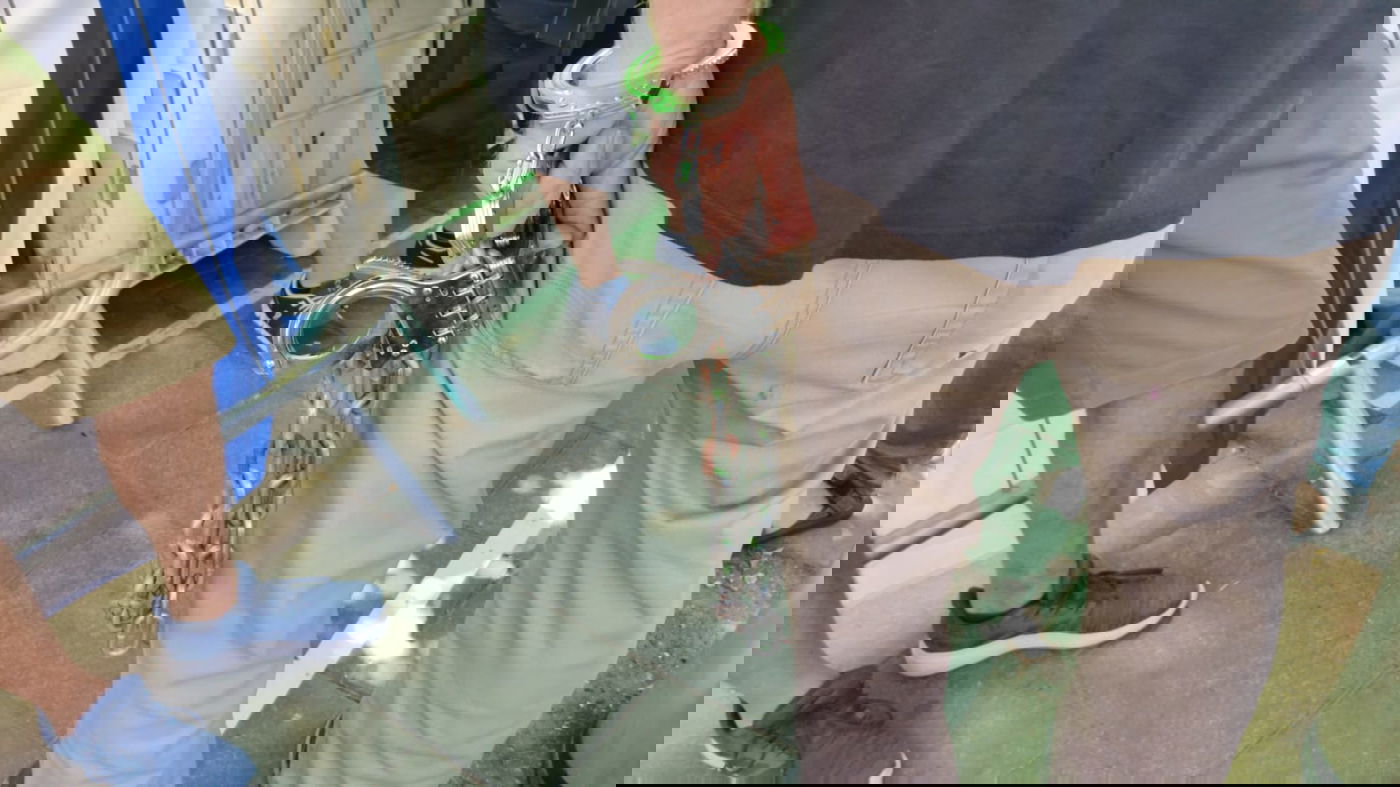 נערכים עם אזיקים