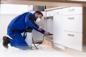 אילוסטרציה