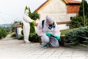 אילוסטרציה