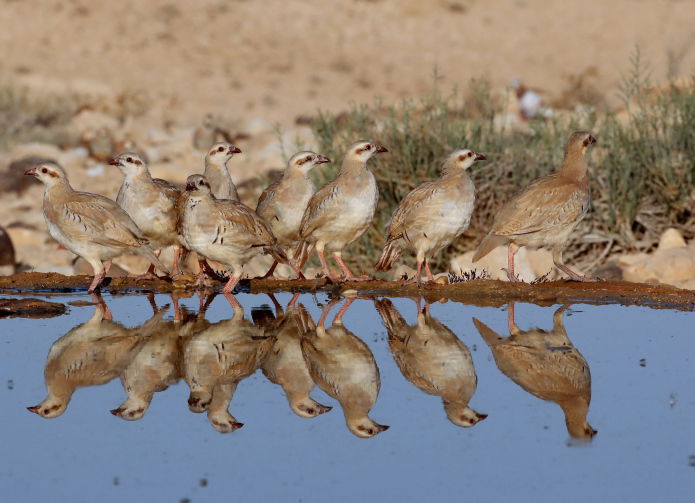 תחזית מזג אוויר: טמפרטורות רגילות לעונה