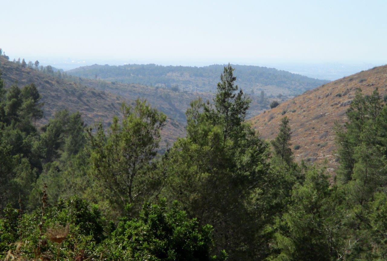 טיול דרך עדשת המצלמה בהרי יהודה הירוקים