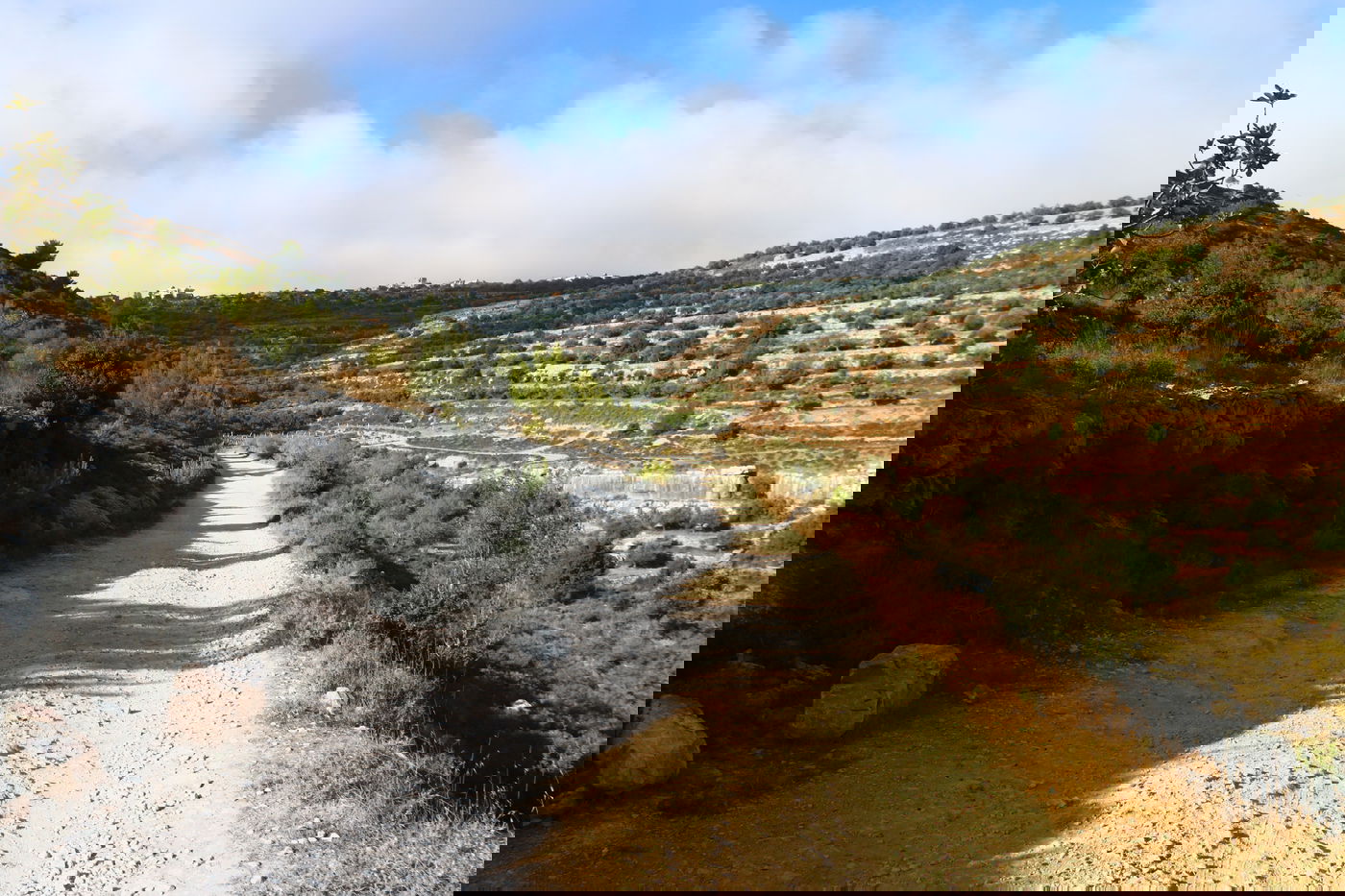 יום בחווה הירושלמית • תיעוד מרהיב ומרתק