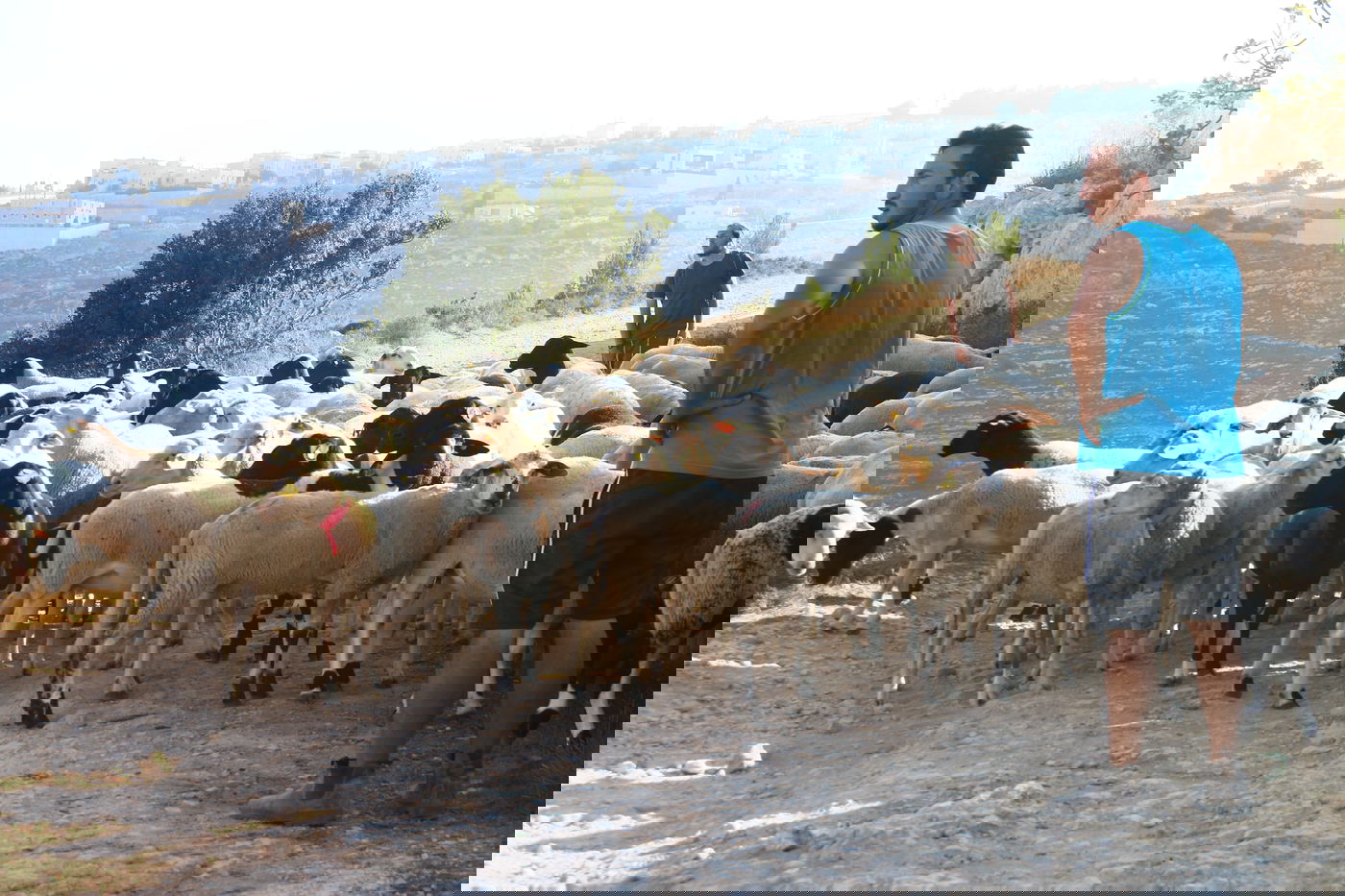 יום בחווה הירושלמית • תיעוד מרהיב ומרתק