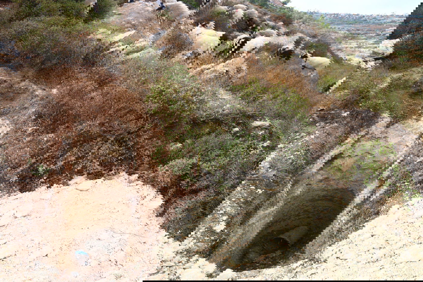 יום בחווה הירושלמית • תיעוד מרהיב ומרתק