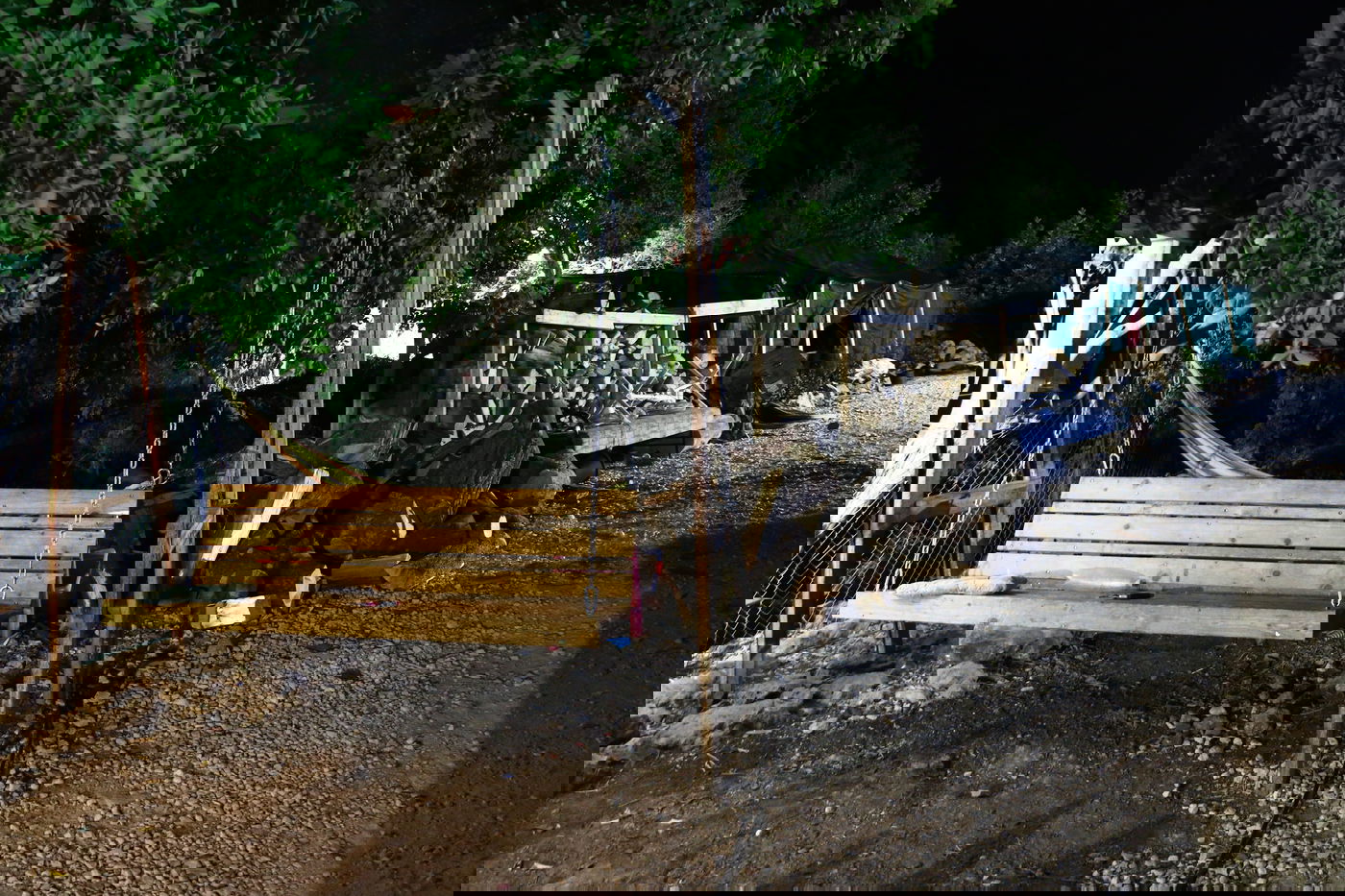 יום בחווה הירושלמית • תיעוד מרהיב ומרתק