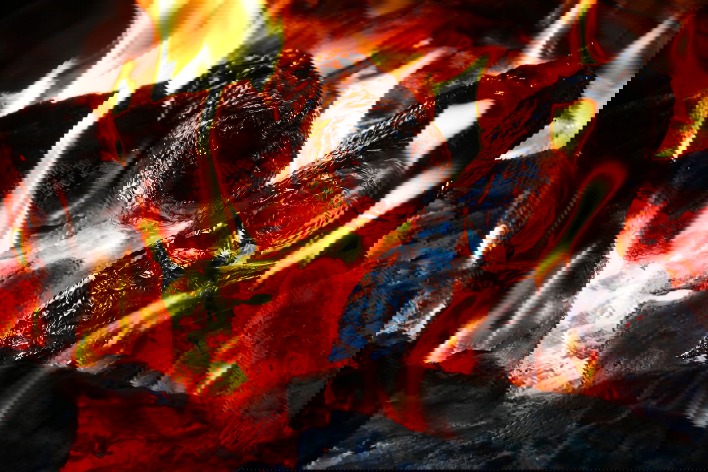 יום בחווה הירושלמית • תיעוד מרהיב ומרתק