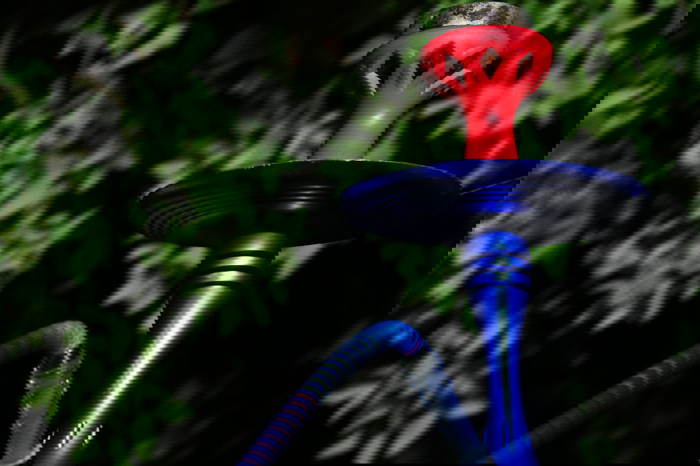 יום בחווה הירושלמית • תיעוד מרהיב ומרתק