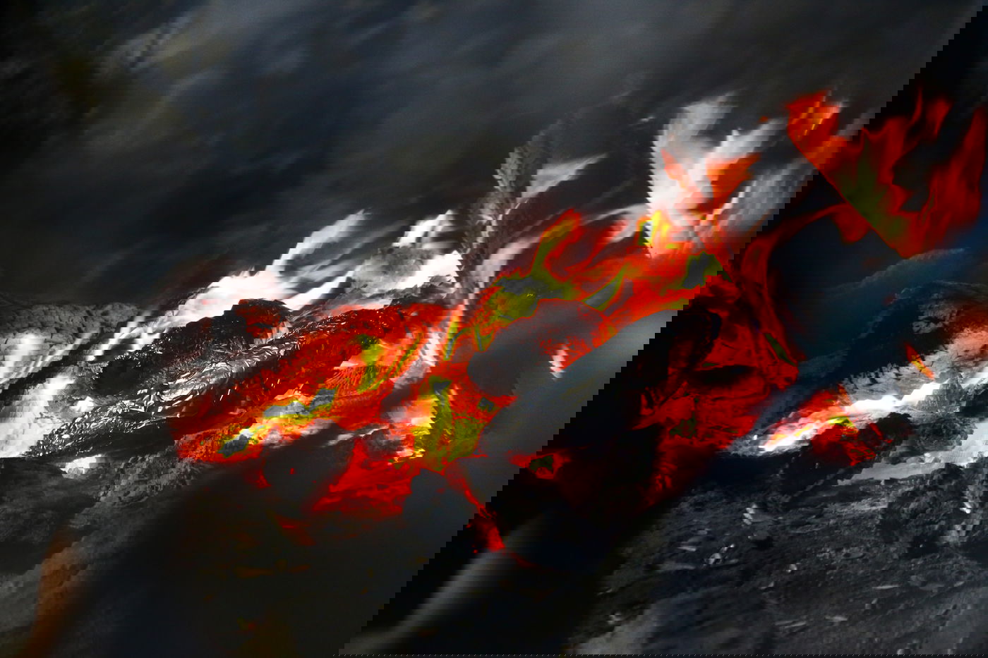 יום בחווה הירושלמית • תיעוד מרהיב ומרתק