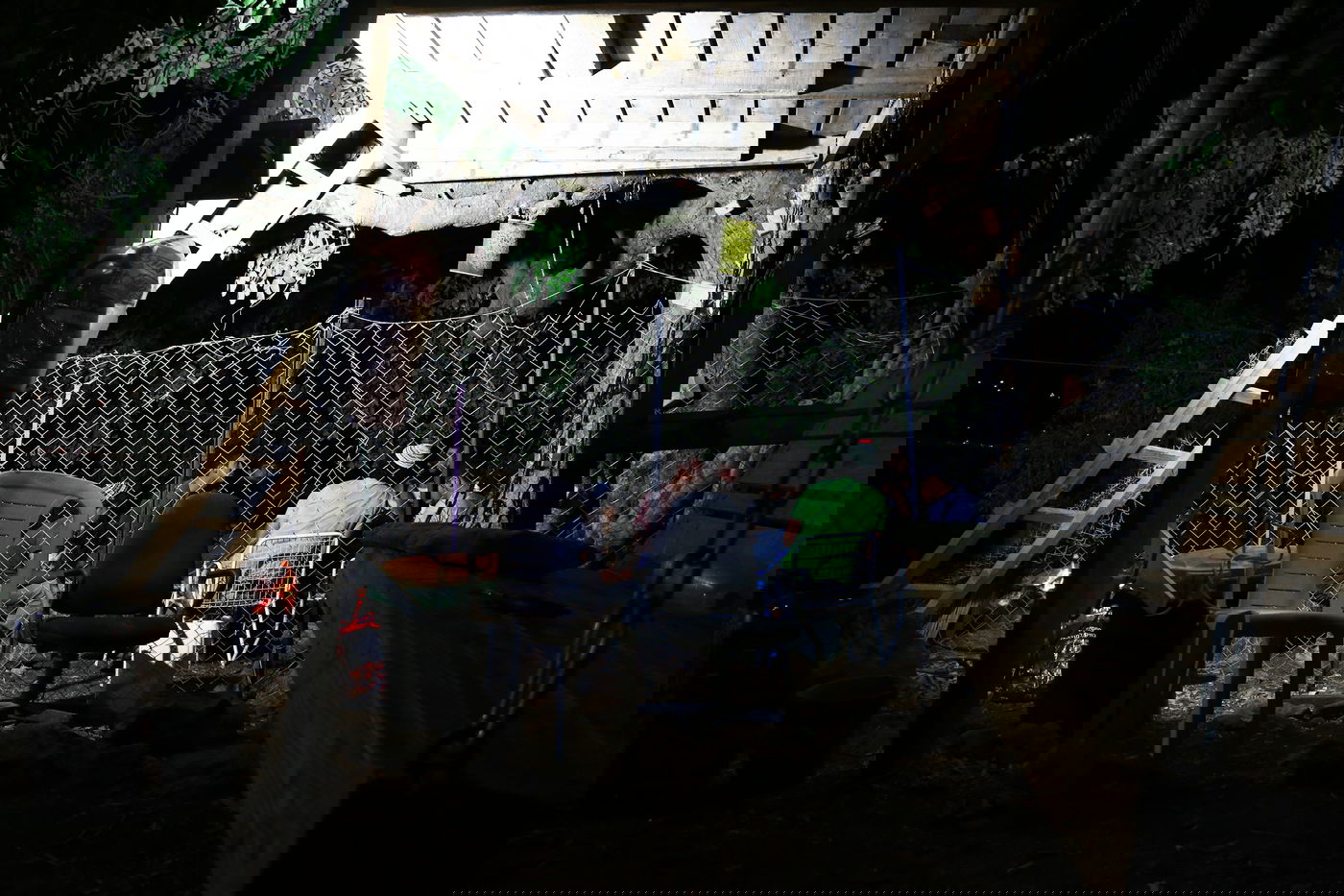 יום בחווה הירושלמית • תיעוד מרהיב ומרתק