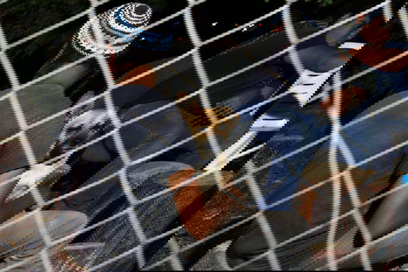 יום בחווה הירושלמית • תיעוד מרהיב ומרתק