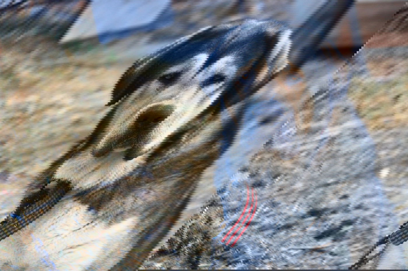 יום בחווה הירושלמית • תיעוד מרהיב ומרתק