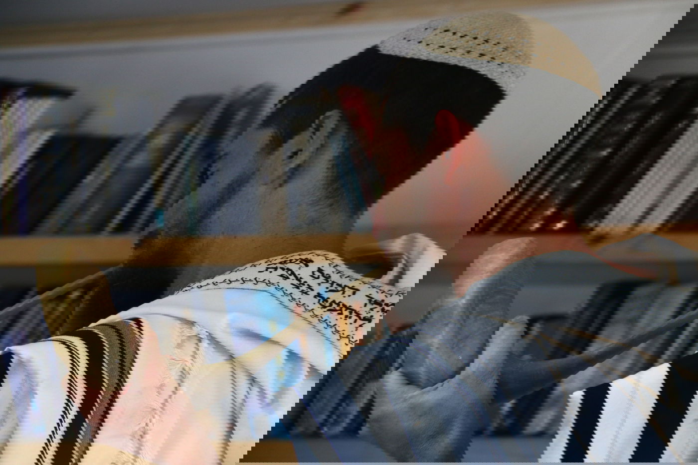 יום בחווה הירושלמית • תיעוד מרהיב ומרתק