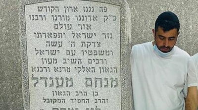 ריבו בציון הרבי