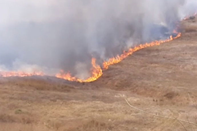 שריפה כתוצאה מבלון תבערה