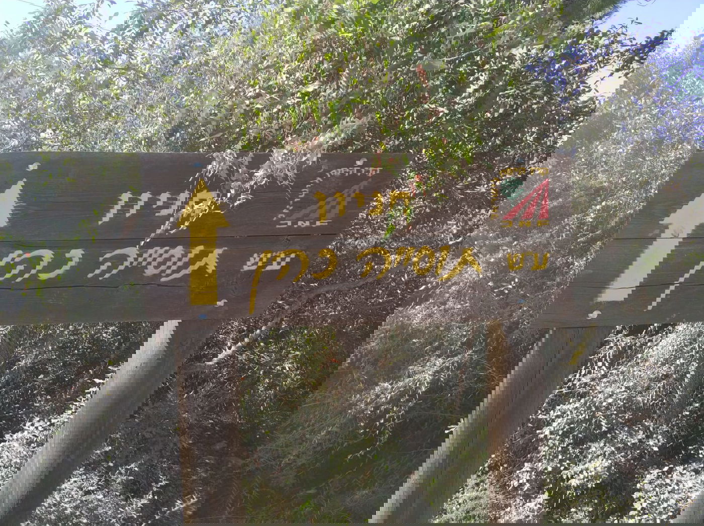 צפו בתיעוד: המסוק שמנקה את חוטי החשמל