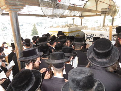 ההמונים (צילום: יוחנן לוסטיג