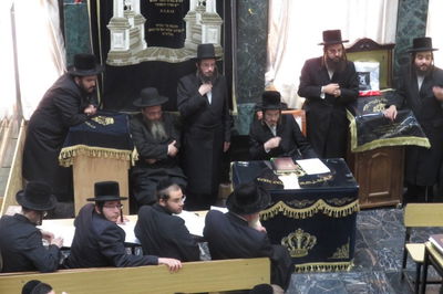 הרבי מסאדיגורה הסביר: איך ללמוד גמרא?