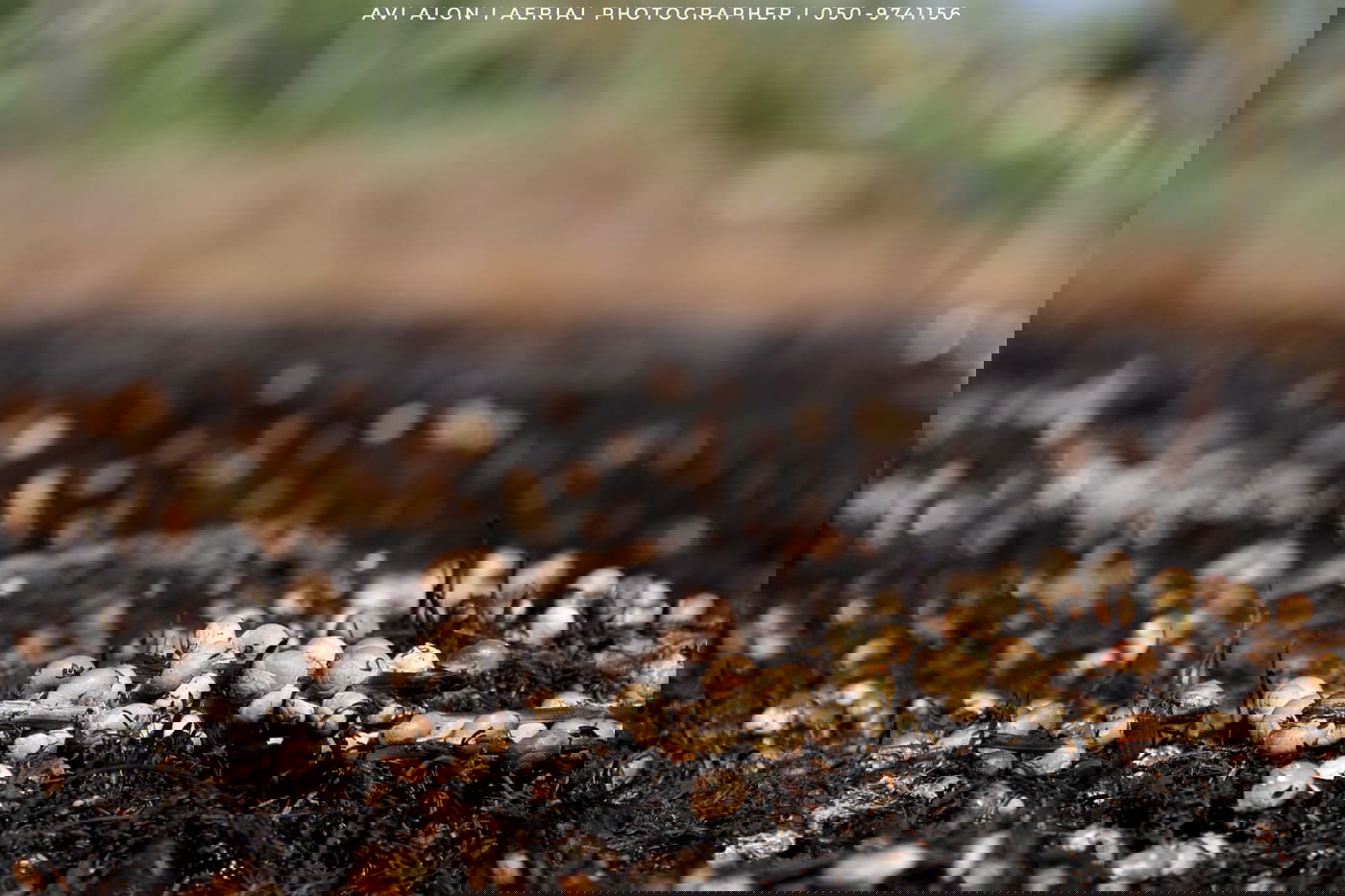 תיעוד מהאוויר: הנזק שנגרם מבלוני תבערה