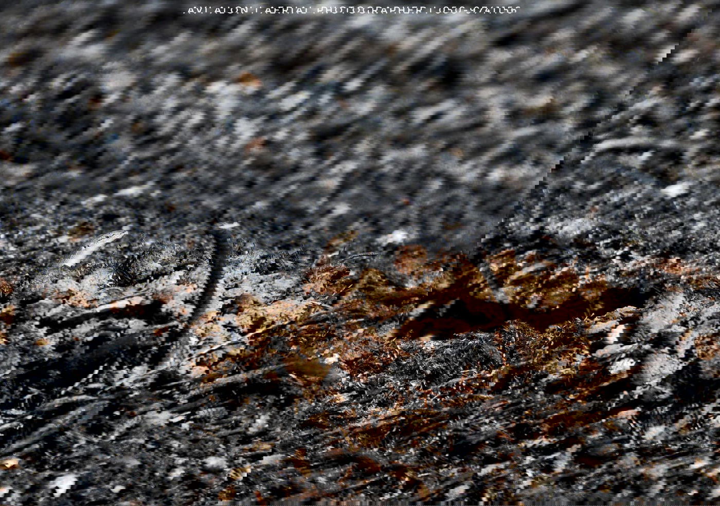 תיעוד מהאוויר: הנזק שנגרם מבלוני תבערה