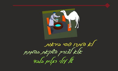 הדף היומי: מסכת עירובין, דף כ' • סיכום והמחשה