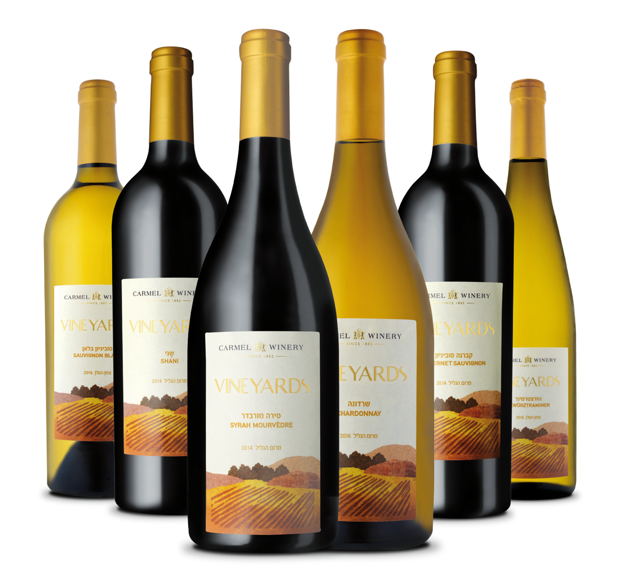 ויניארדס: סדרת יינות מושלמת לרגעים משפחתיים