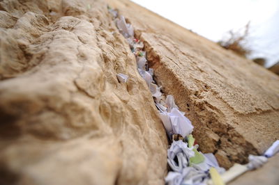 פתקים בכותל