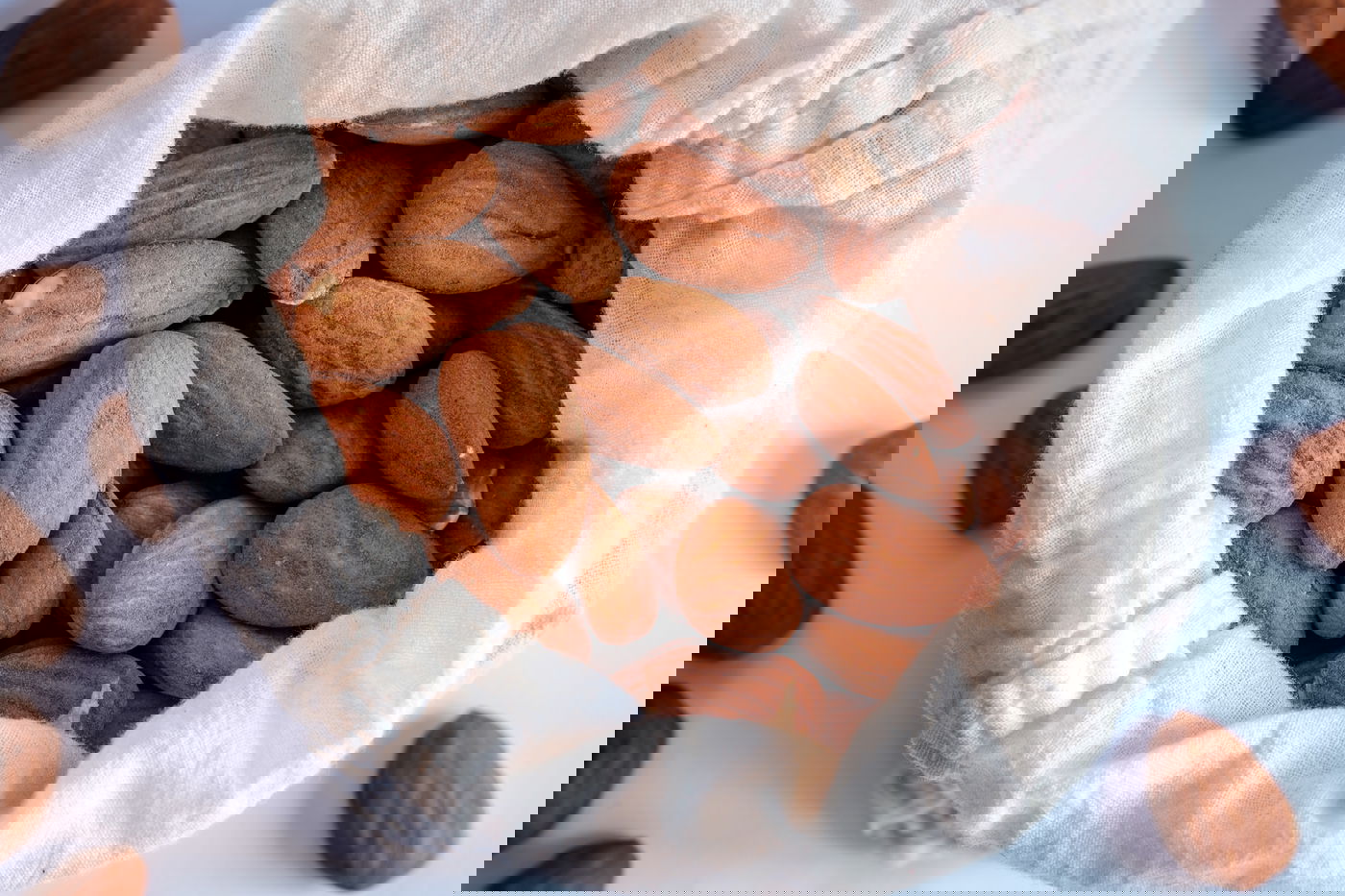 אכילת שקדים בהיריון