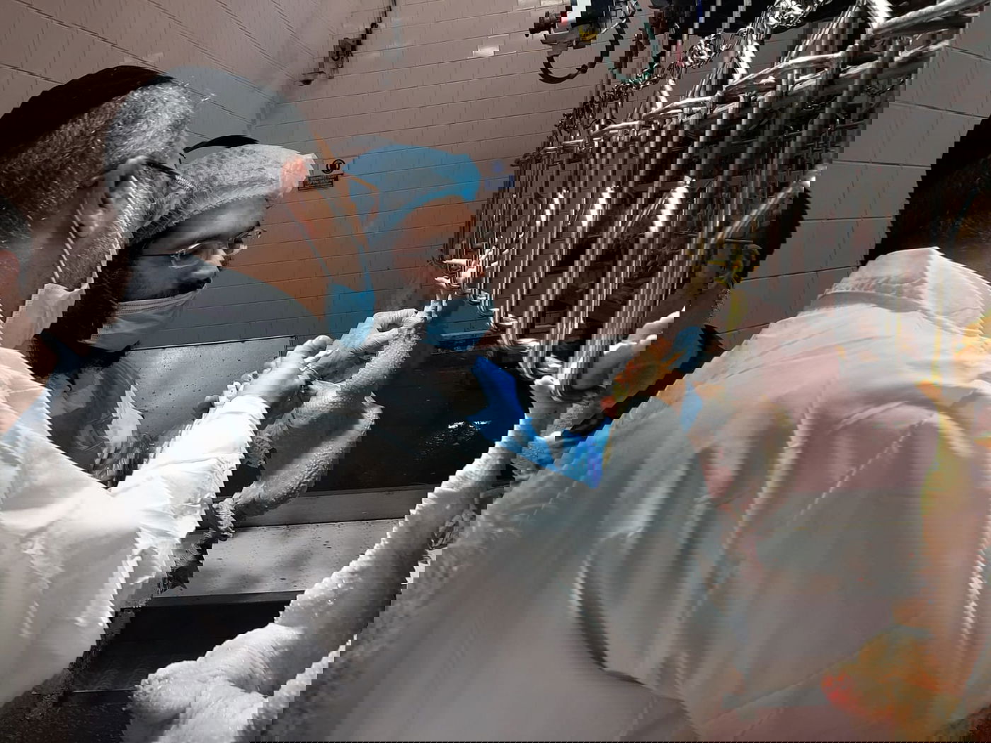 כששר הדתות שחט ובדק את הסכינים. צפו