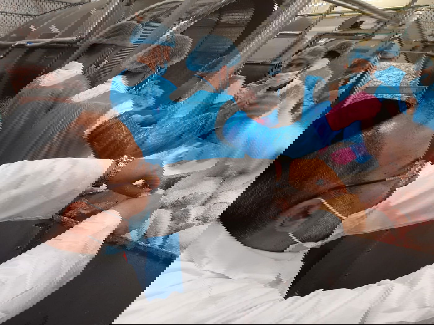 כששר הדתות שחט ובדק את הסכינים. צפו