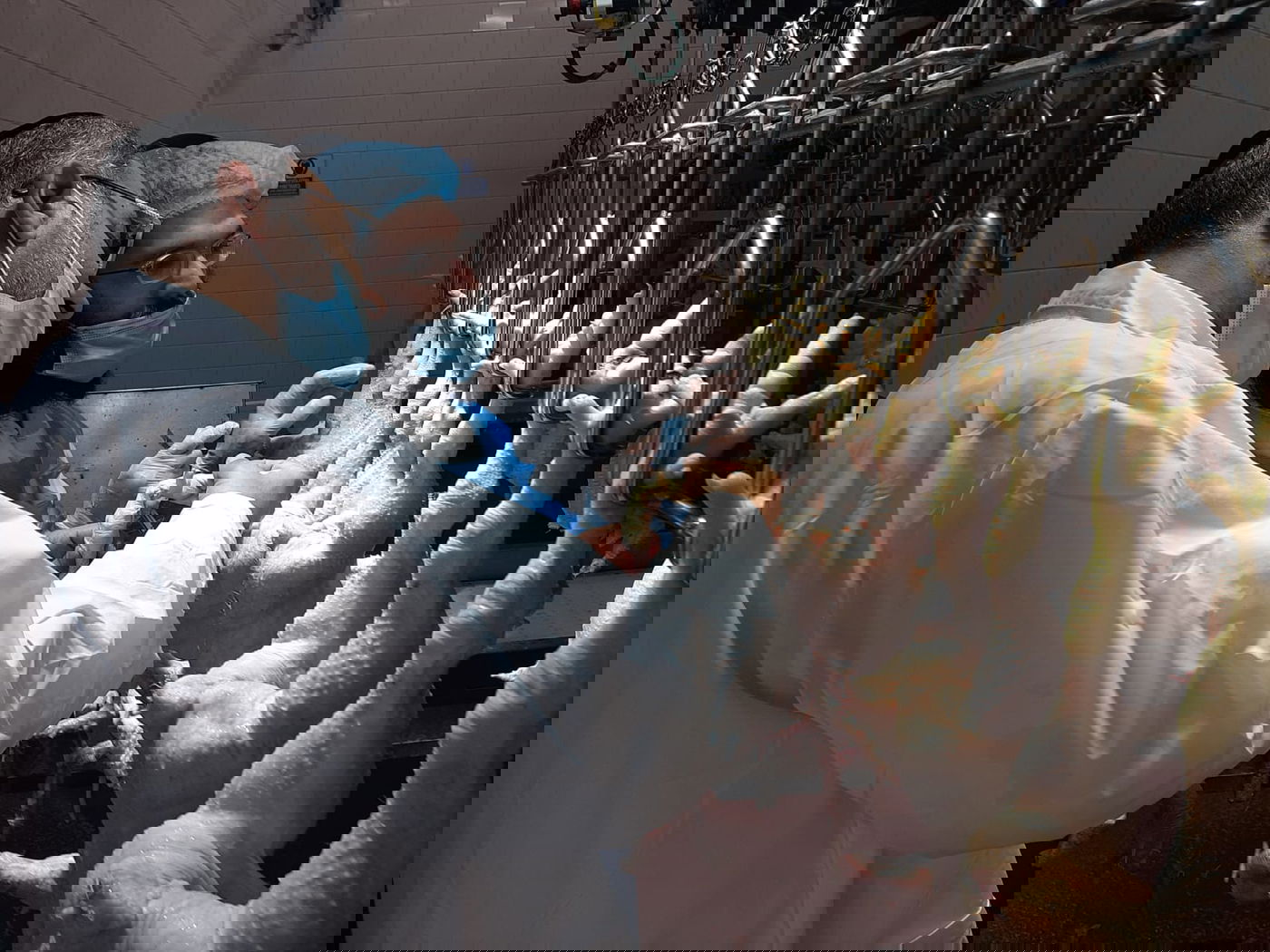 כששר הדתות שחט ובדק את הסכינים. צפו