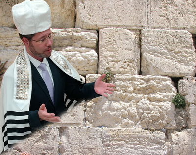 חיים גרינשטיין מבצע רוזנבלט: רצה עתירתם