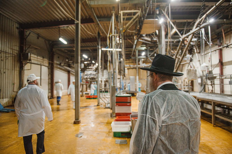 רוסיה: סכיני השוחטים נבדקו לקראת ראש השנה