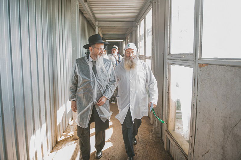 רוסיה: סכיני השוחטים נבדקו לקראת ראש השנה