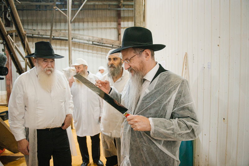 רוסיה: סכיני השוחטים נבדקו לקראת ראש השנה