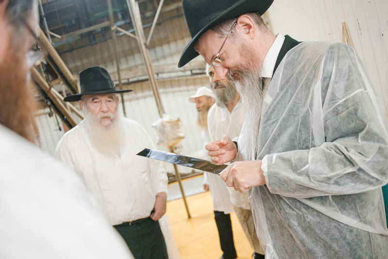 רוסיה: סכיני השוחטים נבדקו לקראת ראש השנה