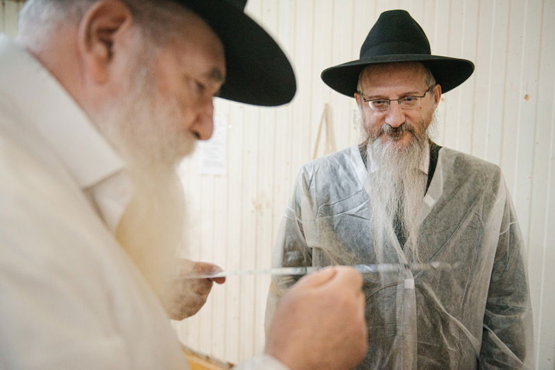 רוסיה: סכיני השוחטים נבדקו לקראת ראש השנה