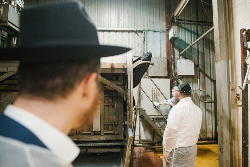 רוסיה: סכיני השוחטים נבדקו לקראת ראש השנה