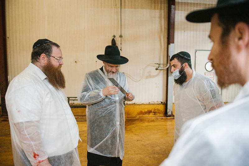 רוסיה: סכיני השוחטים נבדקו לקראת ראש השנה