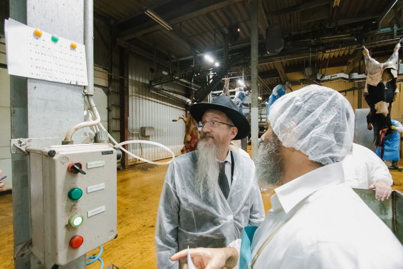 רוסיה: סכיני השוחטים נבדקו לקראת ראש השנה