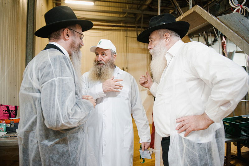 רוסיה: סכיני השוחטים נבדקו לקראת ראש השנה