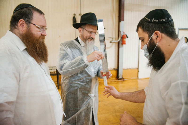 רוסיה: סכיני השוחטים נבדקו לקראת ראש השנה